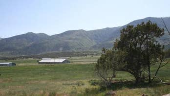 6 Turkey Farms You Can Buy to Spread Thanksgiving Cheer