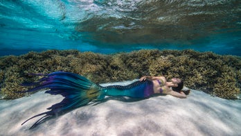 Vacation ideas for turning 6 childhood dreams into reality