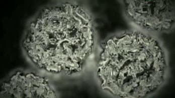 Number of respiratory illness cases expected to spike due to new CDC test