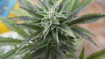 Vomiting illness linked to longtime, regular pot smoking