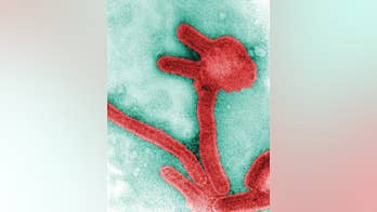 Outbreak in Uganda: What is the Marburg  virus?