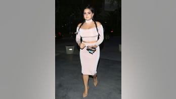 Ariel Winter shows off curves at Drake concert