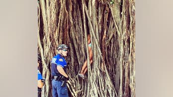 Florida police rescue woman stuck in large banyan tree