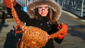 A Latina Conquers the Last Frontier (or Two)