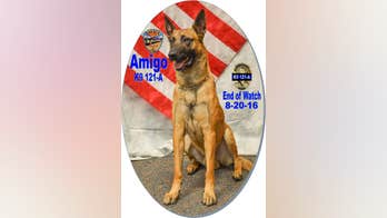 Police dog that searched for mountain hikers dies in hospital