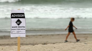 Florida beaches closed after shark attacks leave 2 injured: report