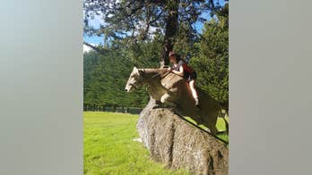 No horse? No problem: Girl teaches her pet cow to jump