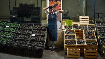 In Mexico, high avocado prices fueling deforestation