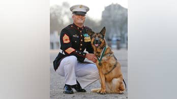 US Marine Corps dog named Lucca who saved lives wins prize