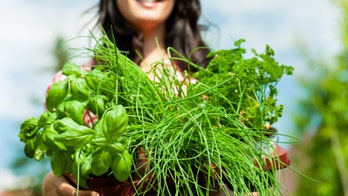 The top five healthy food trend predictions for 2015