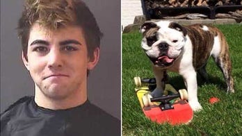 Man busted in theft of missing skateboarding English bulldog