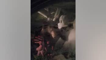 Bear in Virginia locks itself in car, honks horn to wake up homeowners, police say