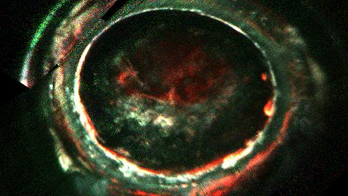 What's powering auroras on Jupiter? NASA's Juno probe finds puzzling clues