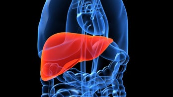 Scientists transform human skin cells into mature liver cells