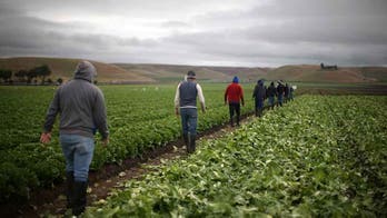 Trump reassures farmers immigration crackdown not aimed at their workers