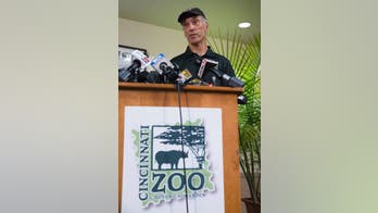 Ohio prosecutor reviews Cincinnati Zoo case