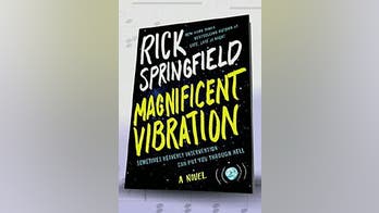 'Magnificent Vibration' by Rick Springfield
