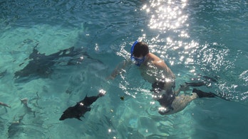 Taking the kids -- and vacationing on a private island