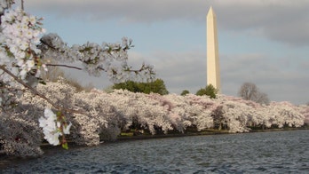 Taking the Kids -- and letting the kids lead the way in Washington, D.C.
