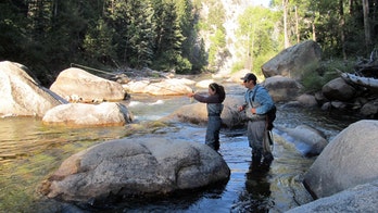 Taking the Kids -- when they are all grown up in the fall