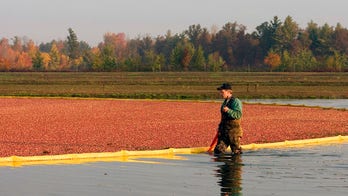 Taking the Kids -- 10-plus ways to celebrate fall in the Midwest