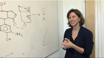 Scientists shift medicinal properties from one plant to another