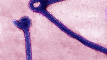 UK Ebola 'relapse' case takes virus specialists to uncharted waters