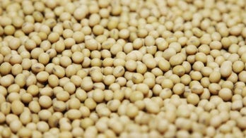Soy might benefit women with pregnancy diabetes