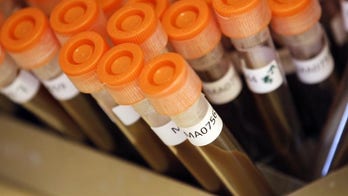 UK review: Unregulated antibiotic sales may increase risk of 'superbugs'