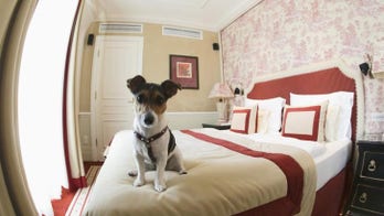 Are pets in the bedroom a problem for sleep?
