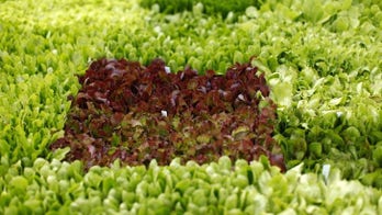 Eating green leafy vegetables may lower glaucoma risk