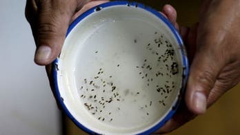 Portugal has 5 mild cases of Zika virus, all after Brazil trips