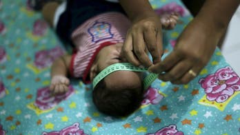 Indian company says working on two possible Zika vaccines