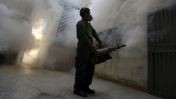 WHO concerned by report of sexual transmission of Zika