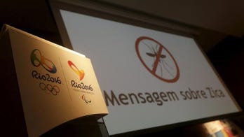 Zika mosquitoes not guaranteed to lie low for Rio Olympics
