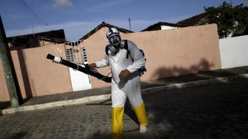 Brazil links 3 deaths to suspected Zika-related complications
