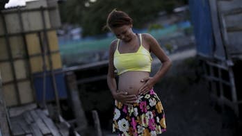 Pregnant women should consider delaying travel to Zika areas: WHO