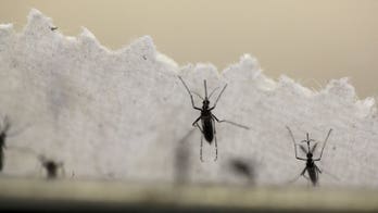 US health officials tell couples exposed to Zika to wait to conceive