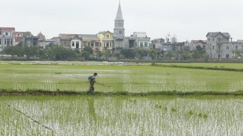 FDA proposes limit on inorganic arsenic in infant rice cereal