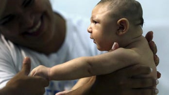 Brain scans of microcephalic babies suggest Zika disrupts development