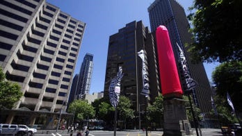 WHO advises 8 weeks of safe sex after return from Zika areas