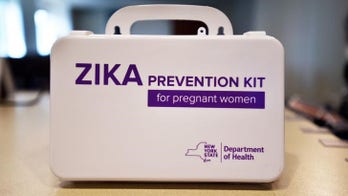 Health official warns Zika could spread across US Gulf