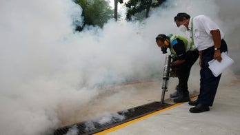 Zika concerns could test Singapore's efforts to boost birth rate