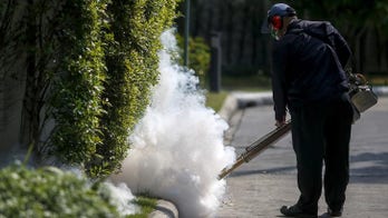 Thai authorities downplay Zika risk, worried by tourism impact