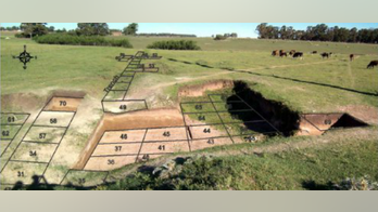 Argentine findings suggest earlier human presence in Americas