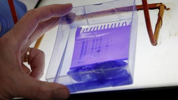 Zika vaccine race spurred by crisis and profit potential