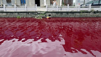 Smog may be easing, but in parts of China water quality worsens