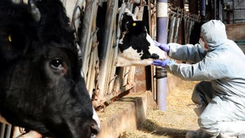 South Korea to import 4.8 million vaccines against foot-and-mouth disease