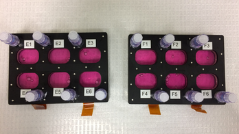 Cancer-killing treatment tested on International Space Station