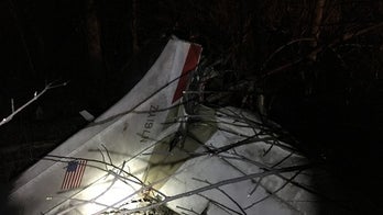 Dog survives plane crash in Indiana that kills 3 people, 2nd canine